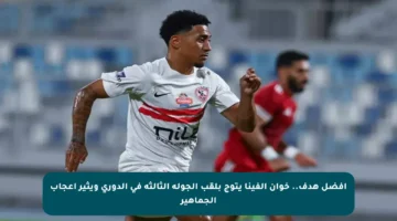 أفضل هدف.. خوان ألفينا يتوج بلقب الجولة الثالثة في الدوري ويثير إعجاب الجماهير